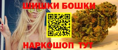 соль ск Можга